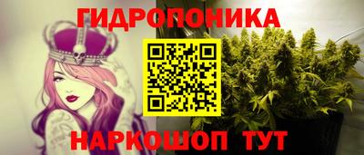 гидропоника Пенза