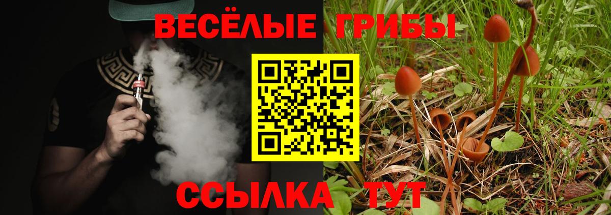Галлюциногенные грибы Фурманов